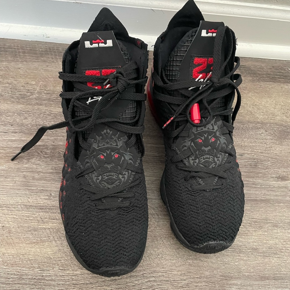 Lebron Shoes